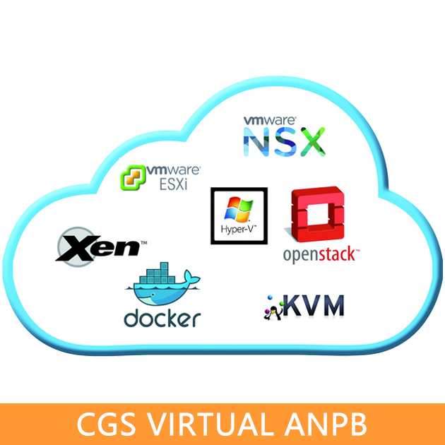 CGS虛擬流量複製器 vNPB 2