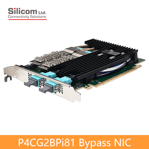 P4CG2BPi81 100 Gigabit Bypass Networking Server Adapters