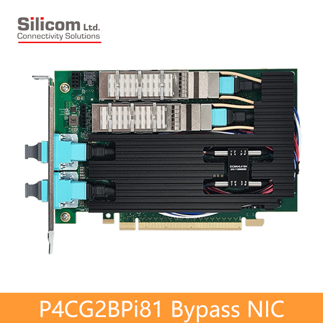 P4CG2BPi81 100 Gigabit Bypass Networking Server Adapters