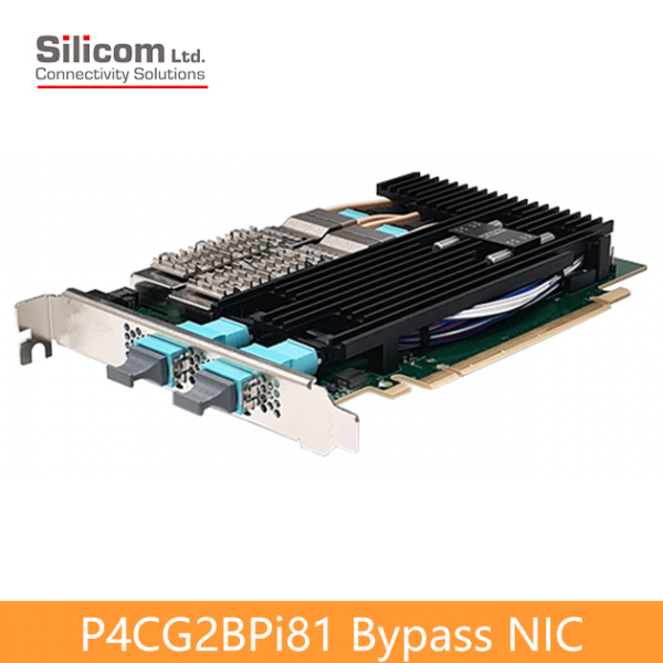 P4CG2BPi81 100 Gigabit Bypass Networking Server Adapters