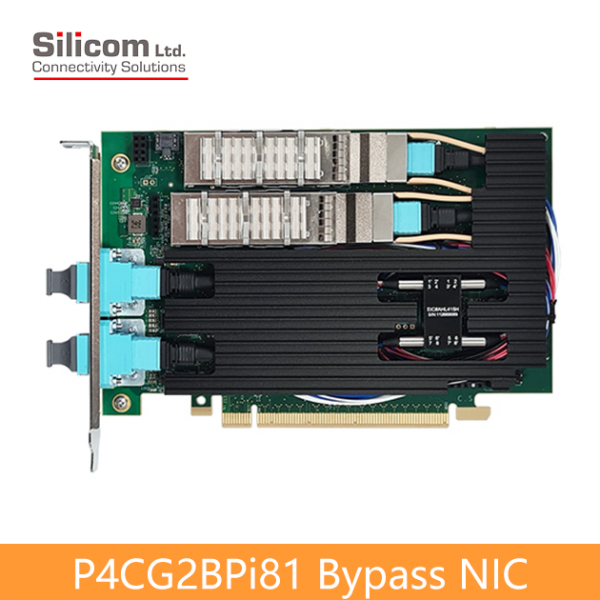 P4CG2BPi81 100 Gigabit Bypass Networking Server Adapters